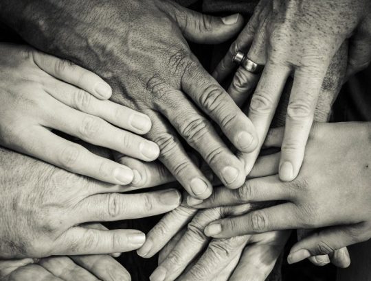 Črno-bela fotografija dlani različnih starosti, ki so ena na drugi.